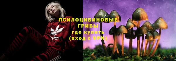герыч Богородицк