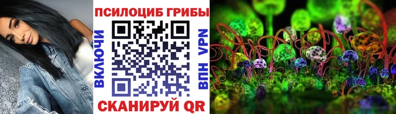 Псилоцибиновые грибы мухоморы  где купить наркотик  Новосокольники 